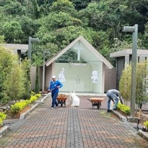 TRABAJOS DE LIMPIEZA Y MANTENIMIENTO DE JARDINERÍA DEL CAMPOSANTO