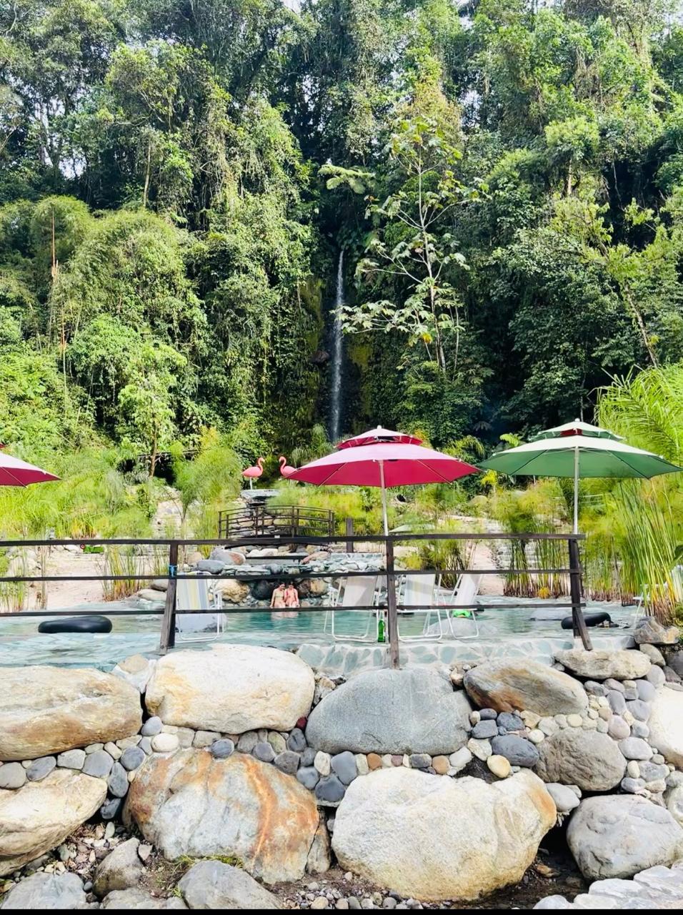 This image for Image Layouts addon